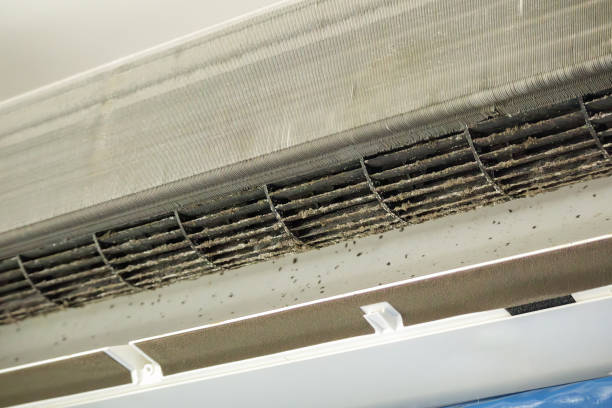 Best Residential Air Duct Cleaning  in West Yellowstone, MT